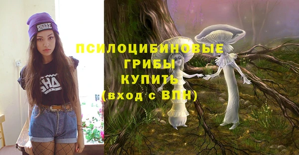 эйфоретик Пересвет